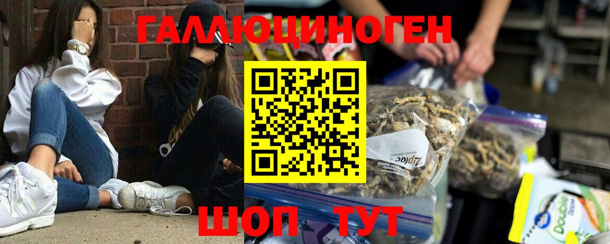 Псилоцибиновые грибы GOLDEN TEACHER Курчатов