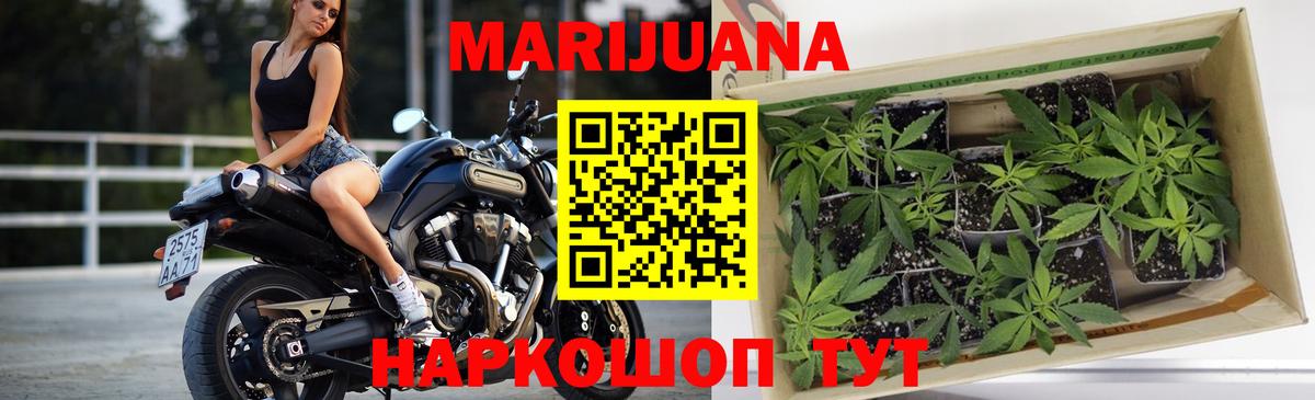 Каннабис ГИДРОПОН Курчатов